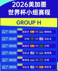 环保太阳能板安装在世界杯场馆屋顶
